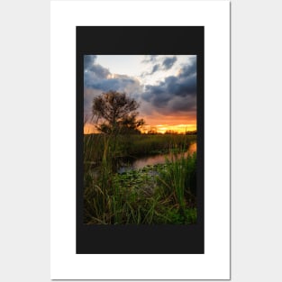 Florida Wetland at Sunset Posters and Art